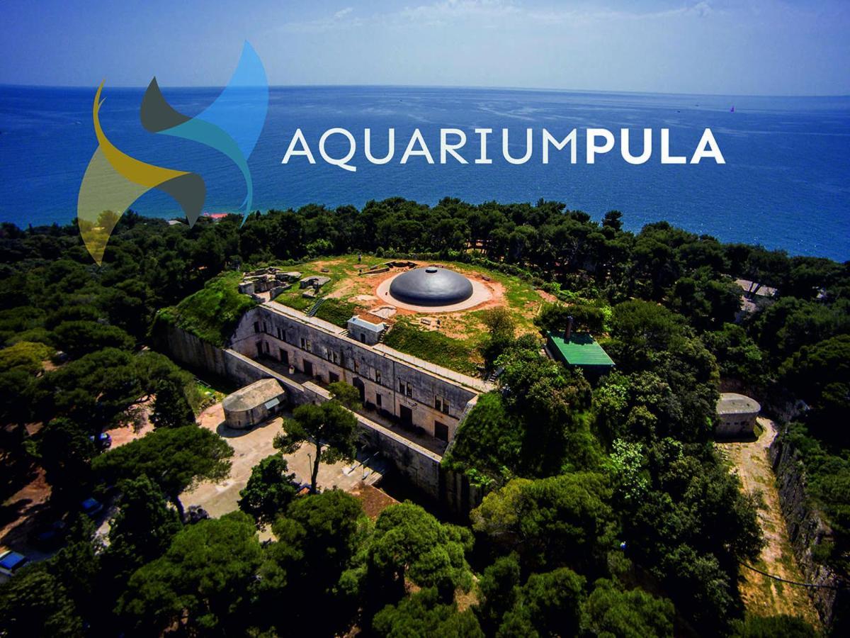 Arena Sunset, Sea Coloseum View, 2 Rooms Free Parking Pula Zewnętrze zdjęcie